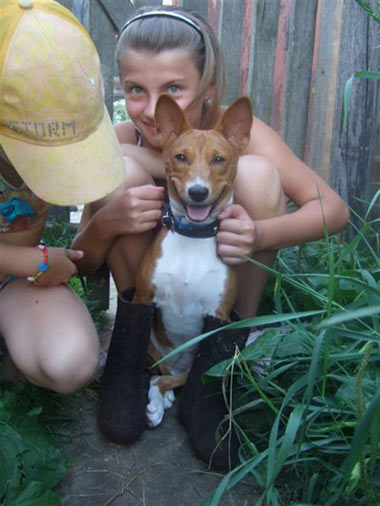 Басенджи Лилу Милинтина